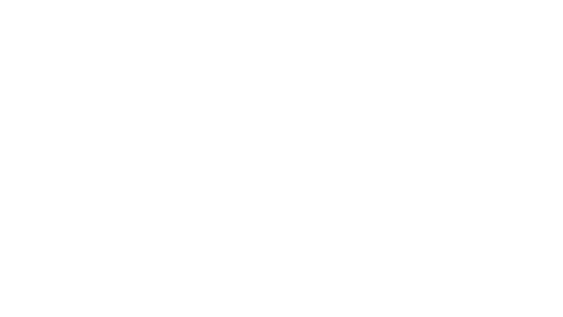 logo-pro-worker-2-
